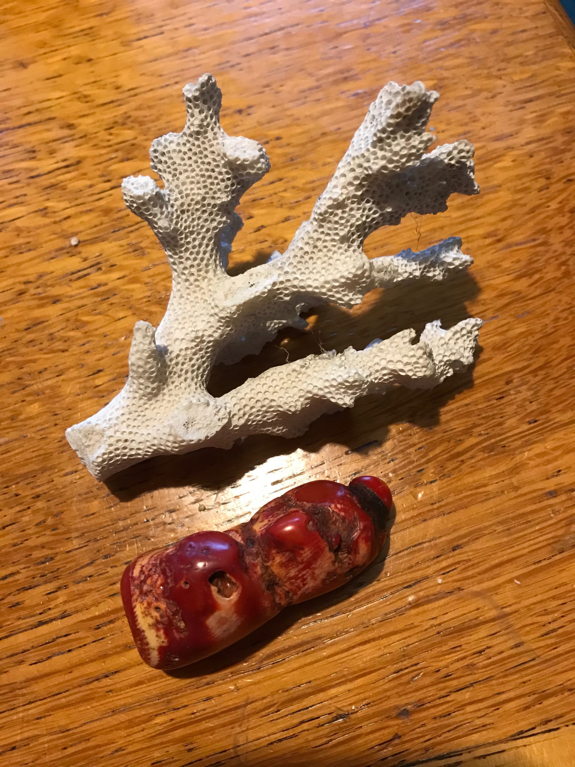 roman red coral