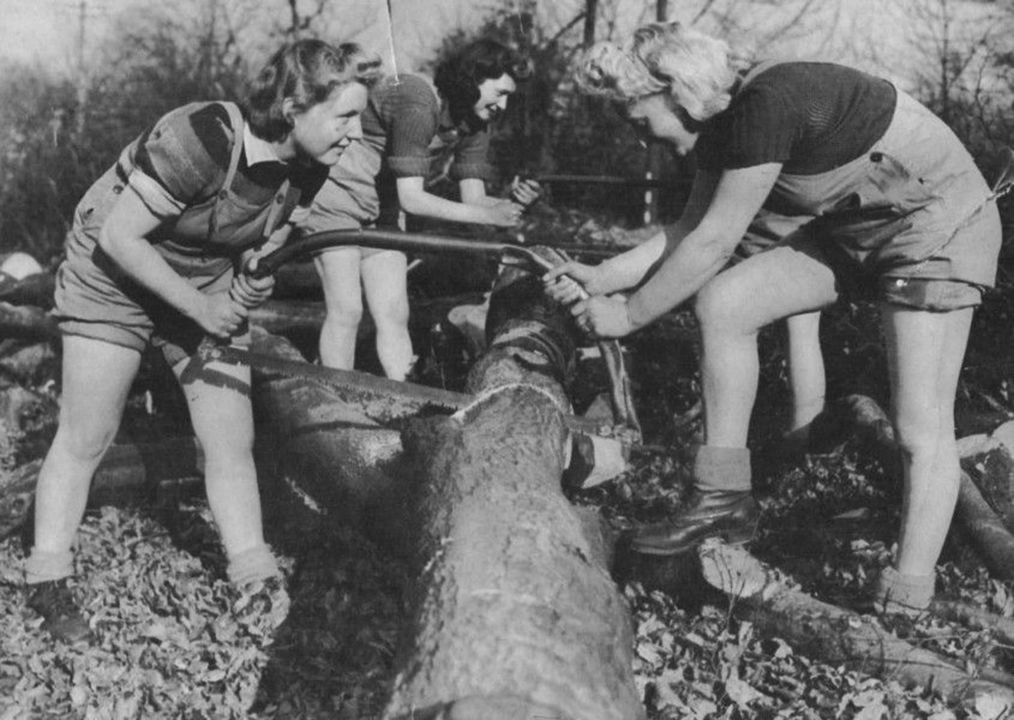 Womens Timber corps saw